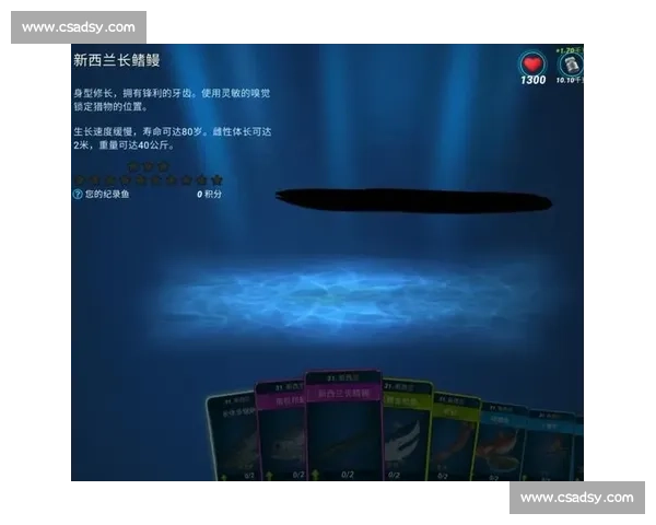 一龙对决新西兰战队的格斗风云与跨国搏击力量较量全景解析 一龙对决新西兰战队的格斗风云与跨国搏击力量较量全景解析